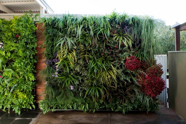 Como fazer um jardim vertical na parede de sua casa